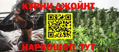 наркотики Новозыбков