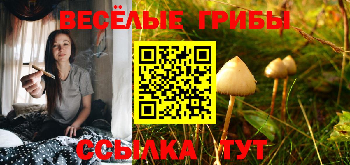 Купить наркотик  Родники  Кокаин  МЕФ   MDMA  Вход с VPN  ГАШИШ  Марихуана 