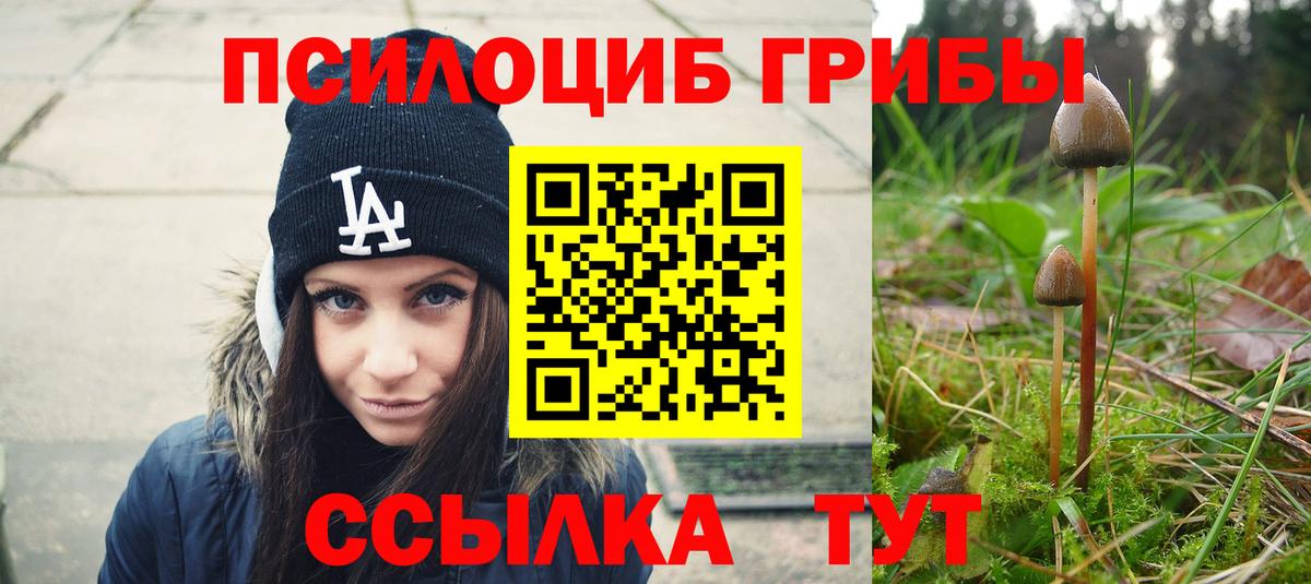 Родники  Псилоцибиновые грибы MAGIC MUSHROOMS  Галлюциногенные грибы ЛСД  Вход с VPN 