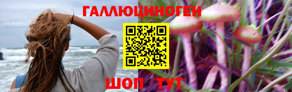 Псилоцибиновые грибы ЛСД Родники